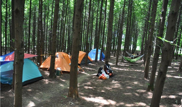 南川山王坪露营.jpg