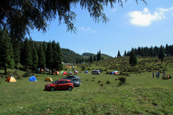 石柱黄水千野草场露营.jpg