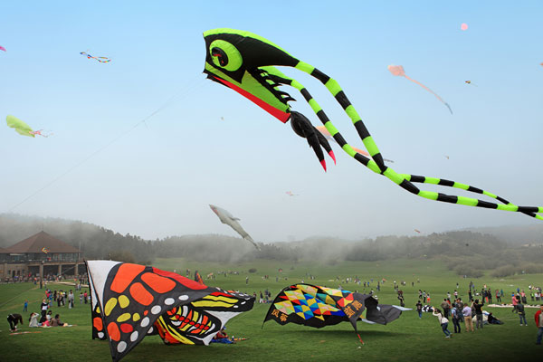 2015仙女山风筝节.jpg