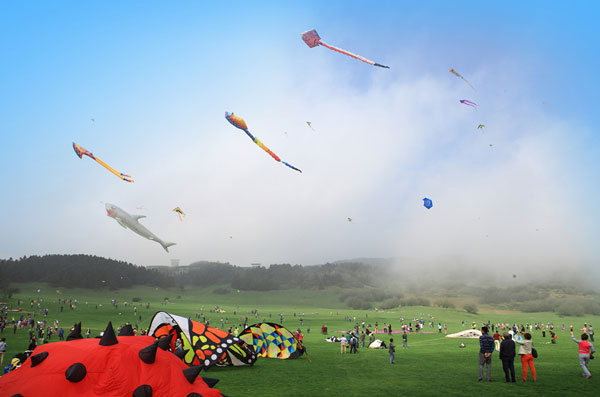 2015仙女山风筝节.jpg