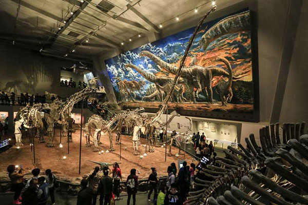 自然博物馆.jpg