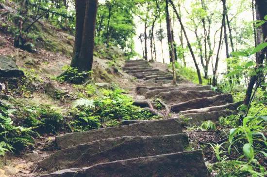 南岸龙脊山步道