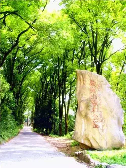 沙坪坝歌乐山步道