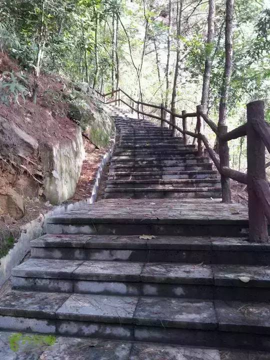 江北铁山坪步道