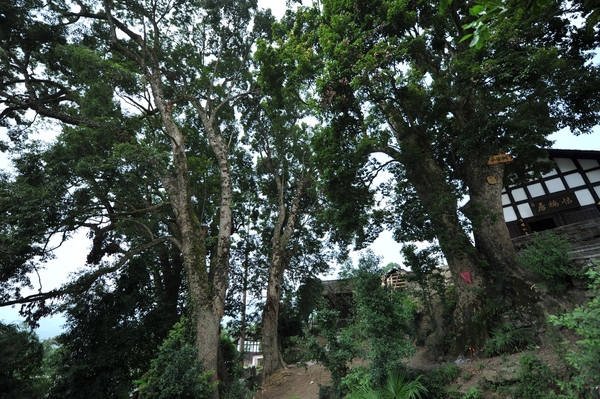 重庆自由行-自驾游—酉阳龚滩古镇