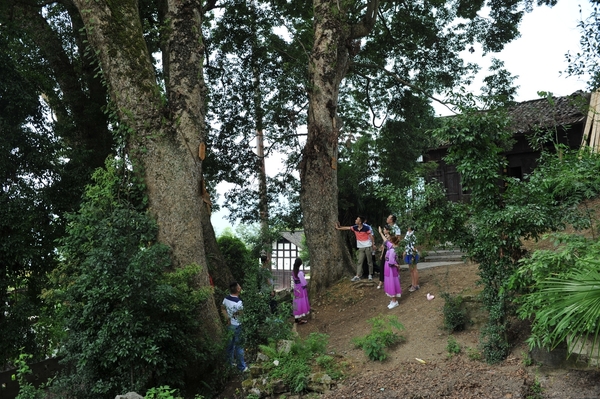 重庆自由行-自驾游—酉阳龚滩古镇