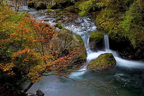 7.jpg 热乎的36款国庆定制版重庆秋游路线出炉,趁着假期耍个遍!