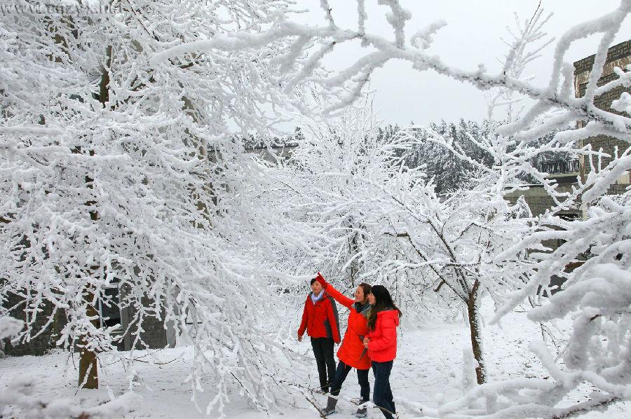 仙女山雪景图.jpg