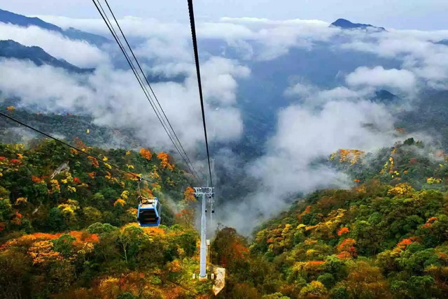 金佛山.jpg 金佛山.jpg