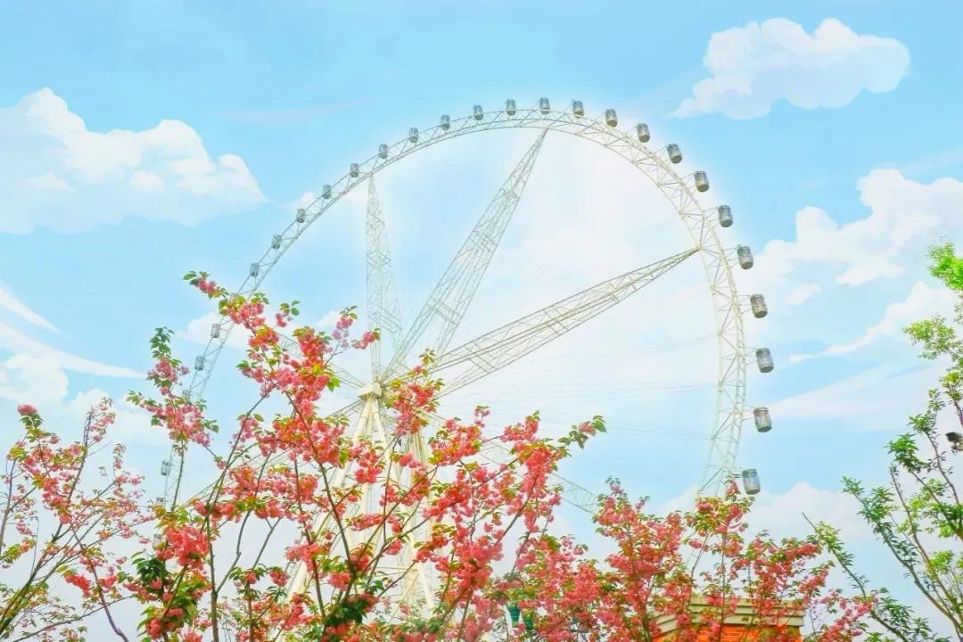 樱花摩天轮.jpg 樱花摩天轮.jpg
