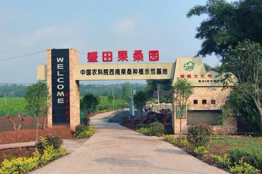 学生陈静1.png 学生陈静1.png