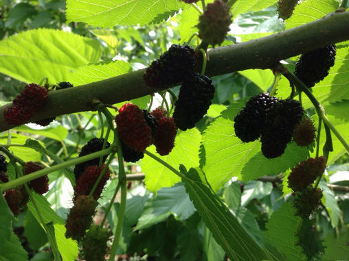 学生陈静3.png 学生陈静3.png