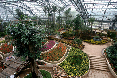 学生余永利南山植物园.png 学生余永利南山植物园.png