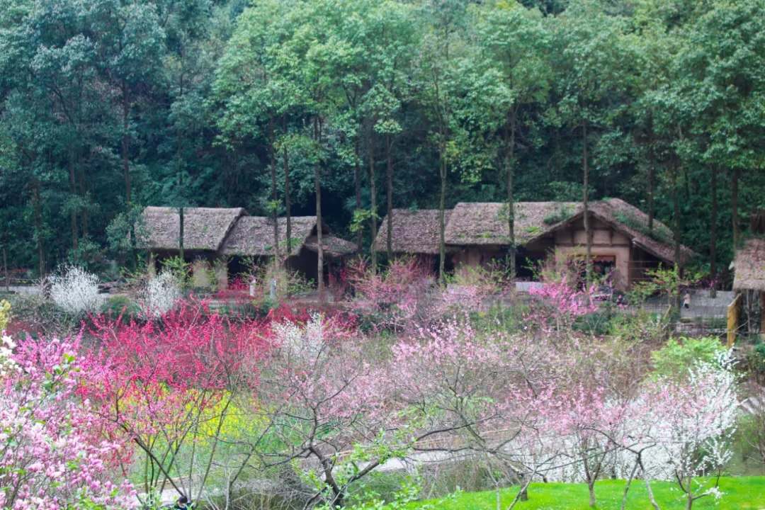 微信图片_20200417150209.jpg 微信图片_20200417150209.jpg