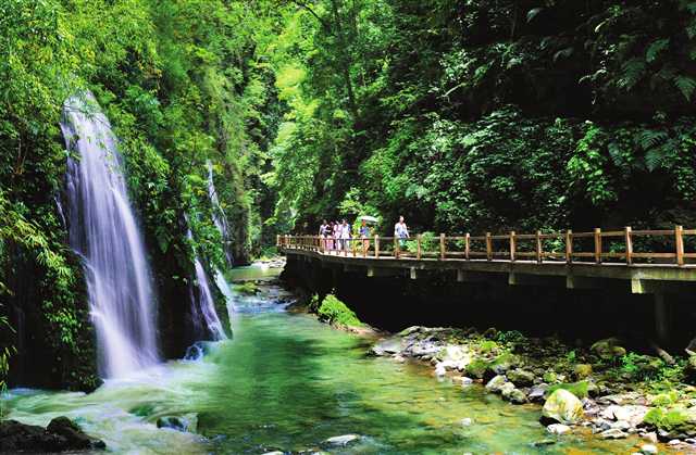 031519322mdt.jpg 031519322mdt.jpg