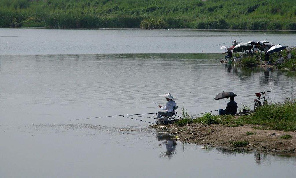 垂钓.jpg 垂钓.jpg