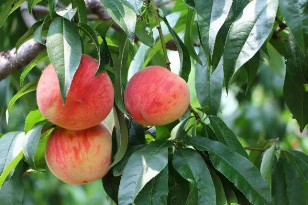 图片7.png 图片7.png