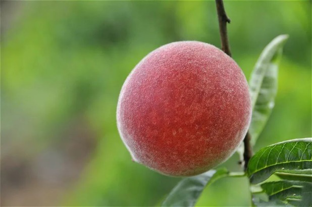 图片9.png 图片9.png